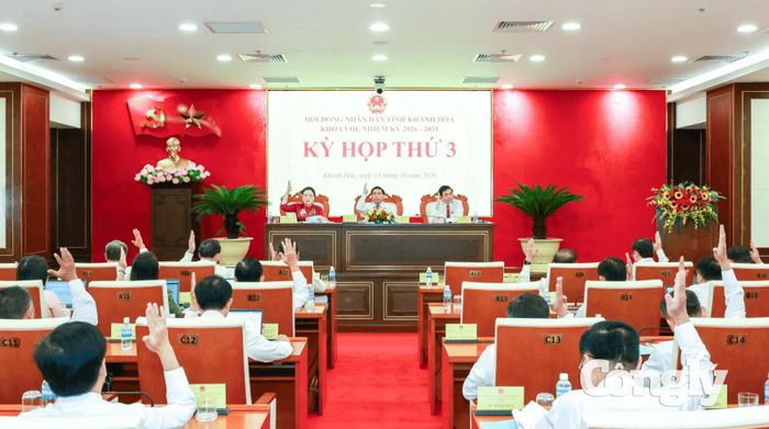 Các đại biểu biểu quyết thông qua các nghị quyết.