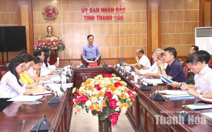 Phó Chủ tịch UBND tỉnh Đầu Thanh Tùng phát biểu kết luận hội nghị.