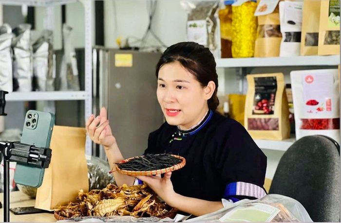 Chị Nông Cẩm Quỳnh, xã Bình Ca tận dụng nền tảng Tiktok để bán các sản phẩm OCOP của địa phương - Ảnh: Tuyenquang.gov.vn.