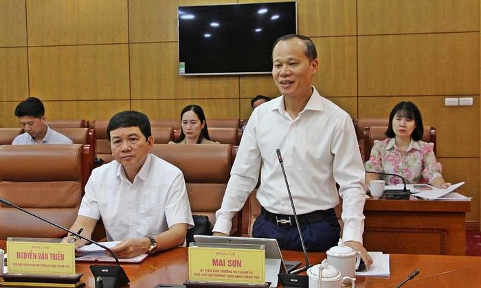 Đồng chí Mai Sơn phát biểu tại hội nghị.