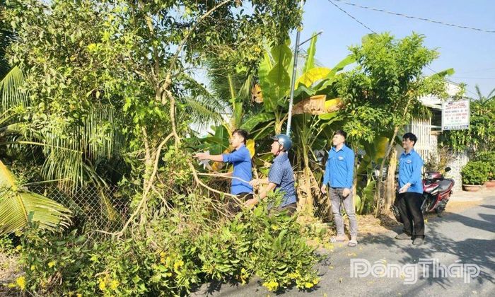 Các hoạt động chặt mé cây xanh, chỉnh trang đường giao thông nông thôn được người dân hưởng ứng, góp phần xây dựng khu dân cư xanh, sạch, đẹp.
