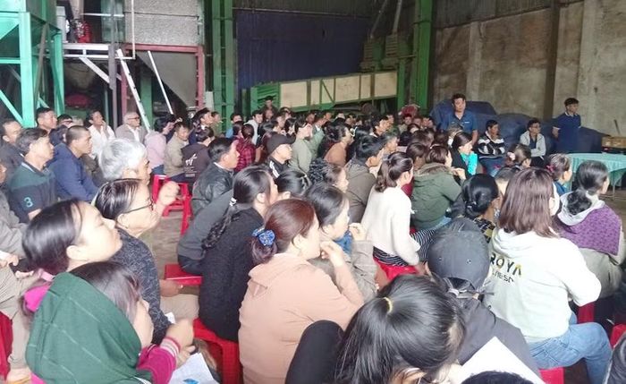 Các hộ thành viên HTX Sản xuất kinh doanh dịch vụ nông nghiệp Ia Ring tập huấn về kỹ thuật chăm sóc cây cà phê. Ảnh: N.S