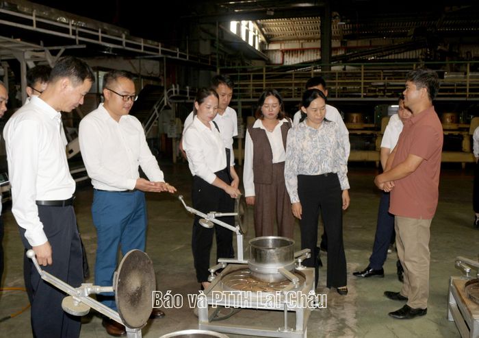 Đoàn khảo sát cơ sở sản xuất của Công ty Cổ phần Trà Than Uyên (xã Tân Uyên). 