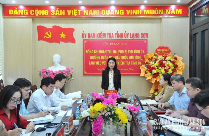 Đồng chí Đoàn Thu Hà, Phó Bí thư Tỉnh ủy, Trưởng Đoàn đại biểu Quốc hội tỉnh phát biểu kết luận tại buổi làm việc