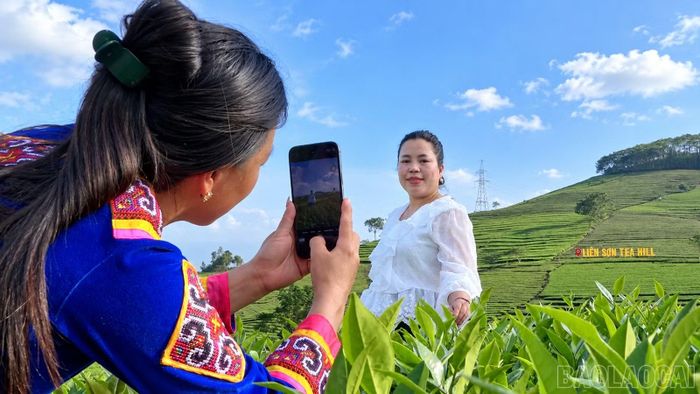 Du khách thích thú check-in bên đồi chè Liên Sơn.