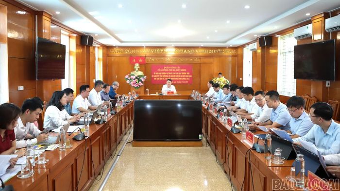 Quang cảnh buổi làm việc.