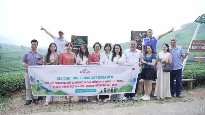 Các đại biểu trong đoàn khảo sát chụp ảnh lưu niệm tại đồi chè Liên Sơn.