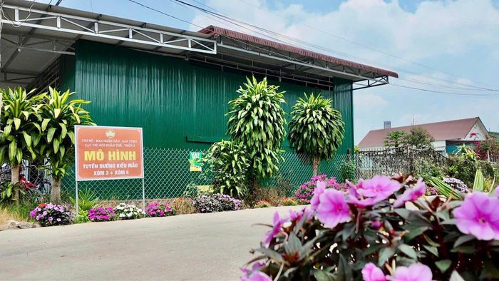 Một trong những "Tuyến đường kiểu mẫu" tại thôn 2, xã Hòa Ninh