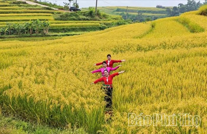 Du khách trải nghiệm ruộng bậc thang tại xóm Thảo Nguyên, xã Thượng Cốc.
