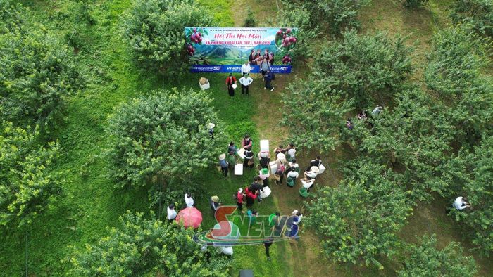 Ngày hội mận xã Phiêng Khoài thu hút đông đảo nhân dân, du khách đến trải nghiệm tại phần thi hái mận.