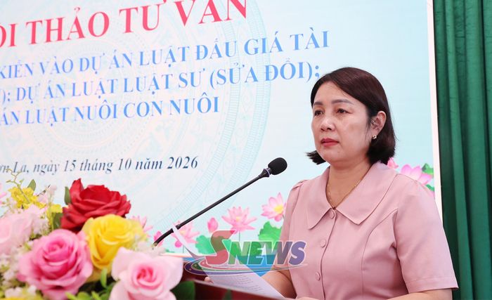 Lãnh đạo Liên hiệp các Hội Khoa học và Kỹ thuật tỉnh phát biểu tại hội thảo.