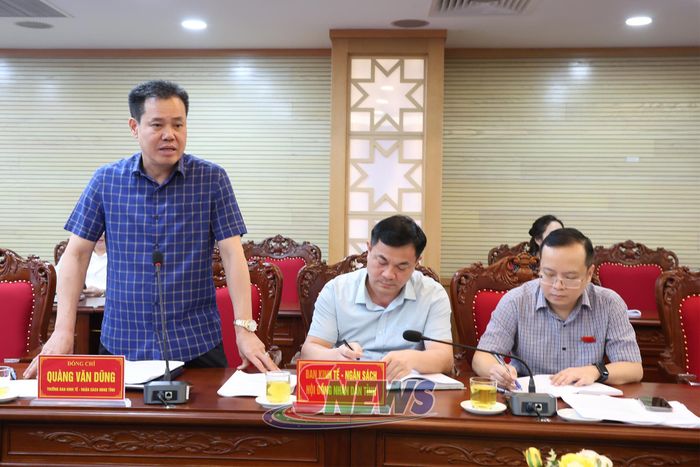 Lãnh đạo Ban Kinh tế - Ngân sách HĐND tỉnh phát biểu ý kiến.