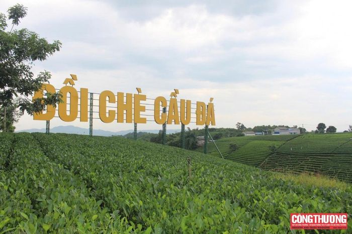 Đồi chè Cầu Đá (xã La Bằng, tỉnh Thái Nguyên) là một trong những địa điểm được du khách yêu thích