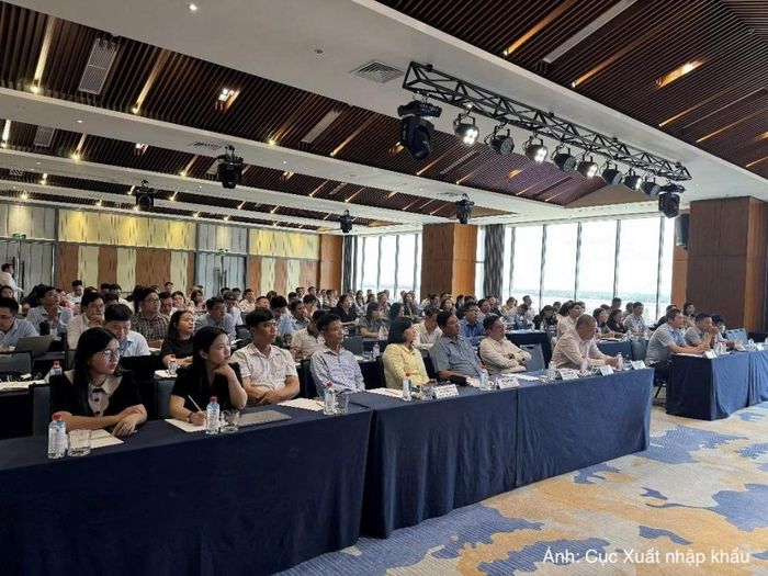 Các đại biểu tham dự Hội nghị