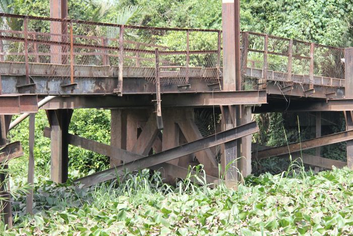 Sau gần một năm khởi công, nhà thầu đang chuẩn bị tháo dỡ các cầu cũ để xây dựng 6 cầu, cống mới trên tỉnh lộ 817.