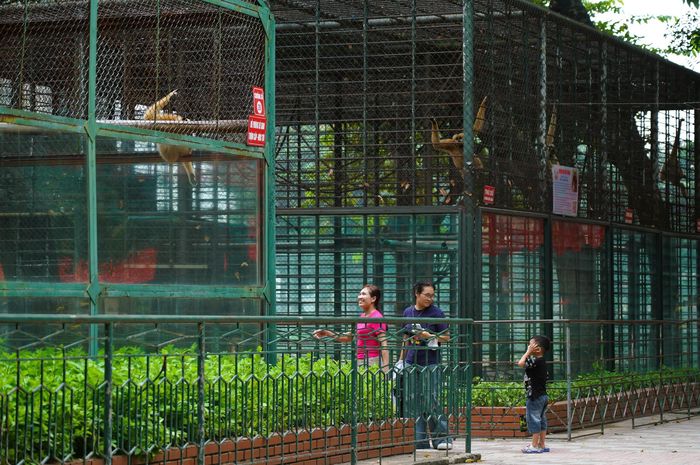 Phương án mới hướng tới mô hình “Eco-Zoo - vườn thú sinh thái và phúc lợi động vật”. Khoảng 30% diện tích được tổ chức thành khu nuôi, bảo tồn có kiểm soát, chuyển từ “xem thú trong lồng” sang trải nghiệm sinh cảnh tự nhiên, sử dụng rào chìm, hào sinh thái và vách kính chịu lực thay cho hàng rào sắt.