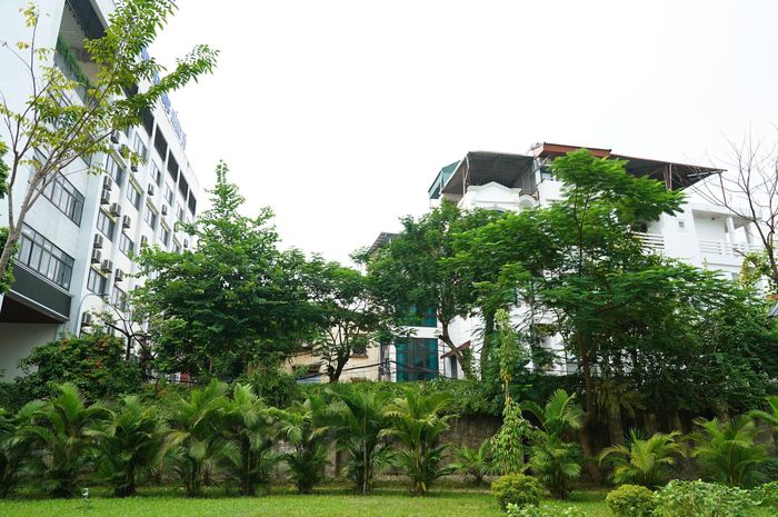 Đây là là một trong những hạng mục được chú ý trong đồ án Điều chỉnh tổng thể quy hoạch chi tiết công viên Thủ Lệ.