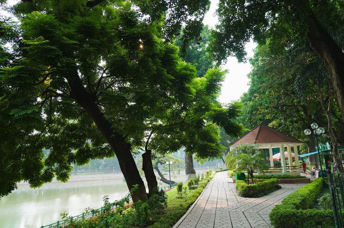 Dưới quảng trường, hồ sơ định hướng bố trí bãi đỗ xe ngầm kết hợp quầy vé, khu thông tin, vệ sinh công cộng, ăn uống, mua sắm và vui chơi trong nhà.