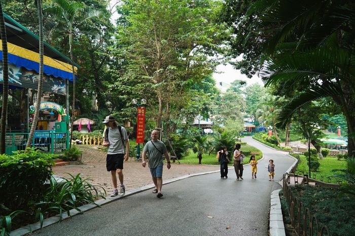 Phần không gian mở gồm mặt nước hồ Thủ Lệ, quảng trường, cây xanh, đường dạo và các tiện ích công cộng. Hồ sơ quy hoạch đề xuất dỡ bỏ tường rào bao quanh để người dân tiếp cận tự do 24/7.