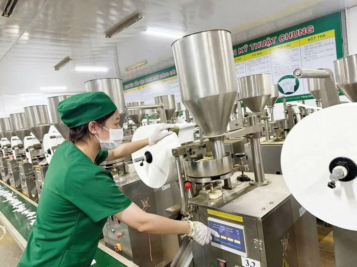 Sản xuất sản phẩm trà thảo dược tại Công ty Thái Hưng - doanh nghiệp do doanh nhân là đảng viên làm chủ. Ảnh: Thiện An