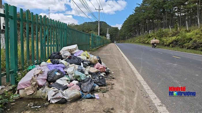 Khi một túi rác bị vứt lại mà không bị xử lý kịp thời, nó lập tức kích hoạt tâm lý dung túng cho hành vi sai trái tiếp theo (Ảnh: C.H)