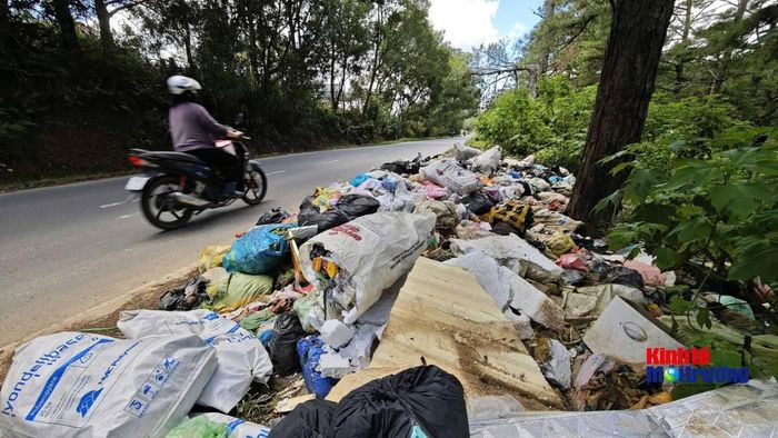 Địa phương tăng cường kiểm tra, xử lý nghiêm các hành vi đổ rác sai quy định nhằm bảo vệ cảnh quan đô thị xanh - sạch - đẹp (Ảnh: C.H)