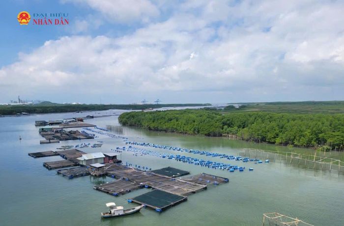 Trong số 10 nhóm ngành, lĩnh vực thực hiện mô hình kinh tế tuần hoàn tại TP. Hồ Chí Minh, lĩnh vực Nông, lâm nghiệp và thủy sản được ưu tiên hàng đầu. Ảnh: Quang Phương