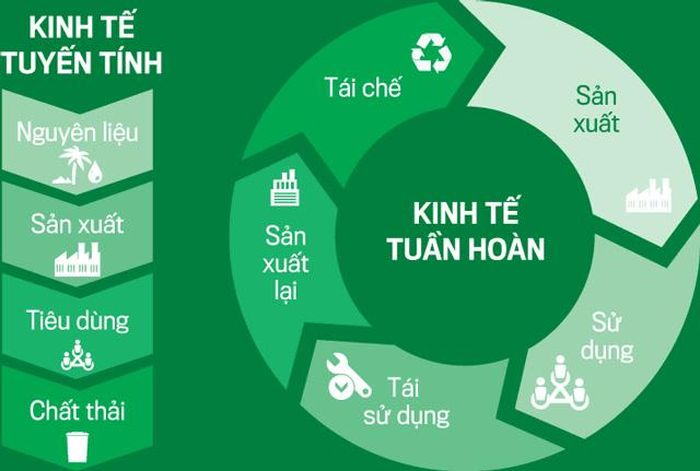Sự khác biệt giữa mô hình kinh tế tuyến tính và kinh tế tuần hoàn là các con người khai thác tài nguyên, sản xuất và xử lý chất thải