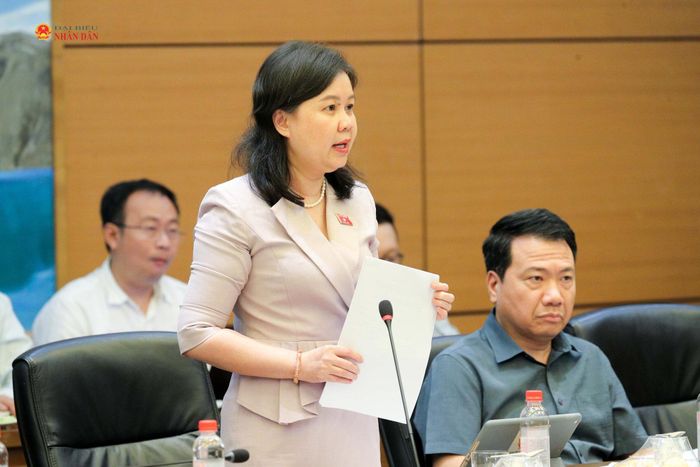 Phó Chủ nhiệm Ủy ban Pháp luật và Tư pháp Nguyễn Phương Thủy phát biểu tại cuộc họp