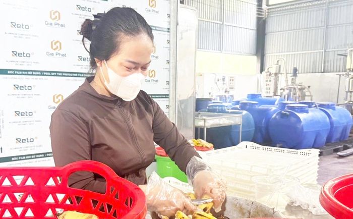 Khi vốn và hạ tầng hạn chế, liên kết với doanh nghiệp có thể giúp HTX tiếp cận vật tư, kỹ thuật và thị trường.