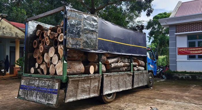 Tang vật lực lượng chức năng tạm giữ.