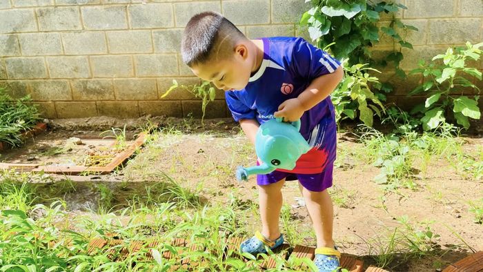 Quá trình các em nhỏ tự tay gieo mầm, cùng các thầy cô chăm sóc để có thành quả là rau sạch cho chương trình gây quỹ “Mầm xanh yêu thương”.