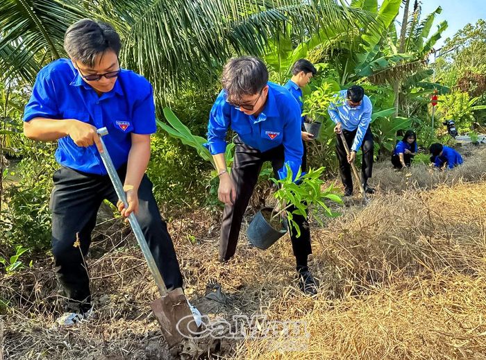 Chung tay bảo vệ môi trường, thời gian qua, đoàn viên, thanh niên trên địa bàn tỉnh tích cực trồng và chăm sóc cây xanh.