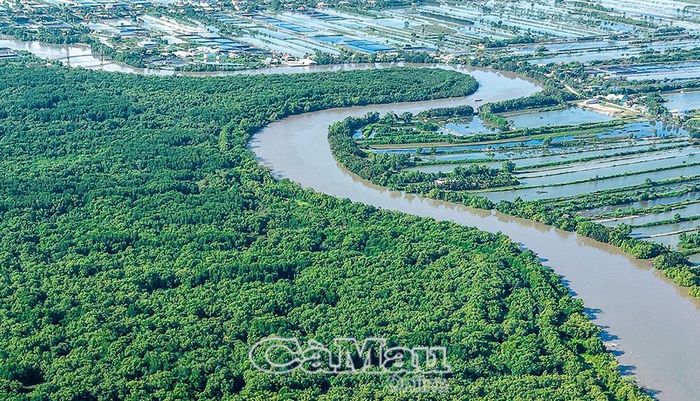 Sân chim Đầm Dơi (ấp Tân Hiệp, xã Đầm Dơi) có diện tích 128,8 ha; sinh cảnh chủ yếu là rừng ngập mặn, đất ngập nước và hệ thống kênh rạch tự nhiên, do Hạt Kiểm lâm Đầm Dơi trực tiếp quản lý, bảo vệ. Đây là khu vực có giá trị đa dạng sinh học cao, có khả năng phát triển du lịch sinh thái, giáo dục môi trường, tuy nhiên chưa được phát huy vì nhiều nguyên nhân, trong đó có thời gian dài giao đất cho tổ chức tư nhân, không thực hiện đúng quy hoạch, làm phá vỡ hệ sinh thái (đào ao, nuôi tôm trong khu bảo tồn).