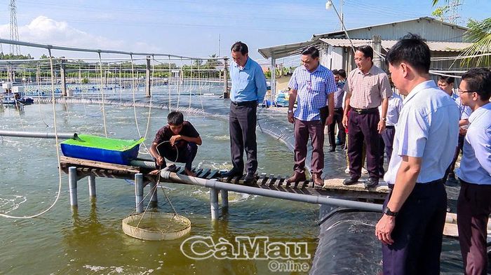 Mô hình nuôi tôm nước lợ ứng dụng công nghệ cao tại xã Hưng Hội.