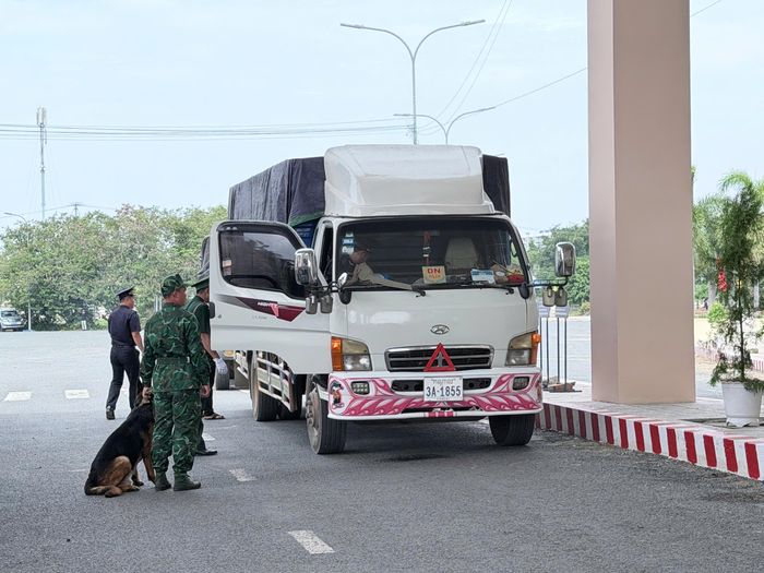 Lực lượng chức năng kiểm tra phương tiện, hàng hóa đi qua cửa khẩu