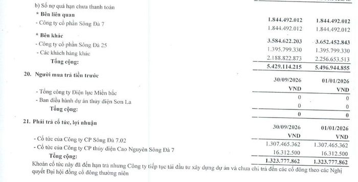 Sông Đà 7.02 có 5,43 tỷ đồng nợ nhà cung cấp quá hạn và 1,32 tỷ đồng cổ tức đến hạn chưa chi trả. Ảnh chụp báo cáo tài chính.