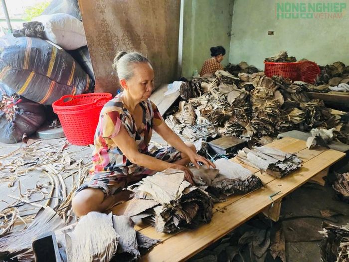 Cơ sở của chị Lan tạo việc làm thường xuyên cho hàng chục lao động địa phương.