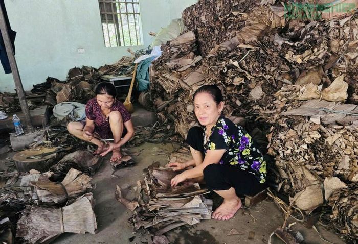 Nghề làm bánh gai là công việc đòi hỏi sự kiên trì, tỉ mỉ; khâu chuẩn bị nguyên liệu phải rất cẩn thận.