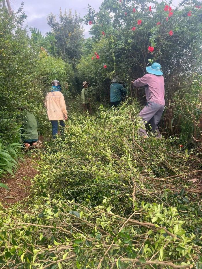  Tinh thần đoàn kết, đồng thuận của người dân góp phần chung tay xây dựng xã Ea Ning ngày càng khang trang, sạch đẹp. 