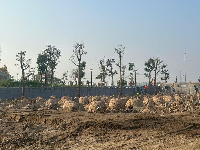 Đã có 216 ngôi mộ được người dân thôn Thượng Quán di chuyển vào trong nghĩa trang xây mới. Ảnh: PV
