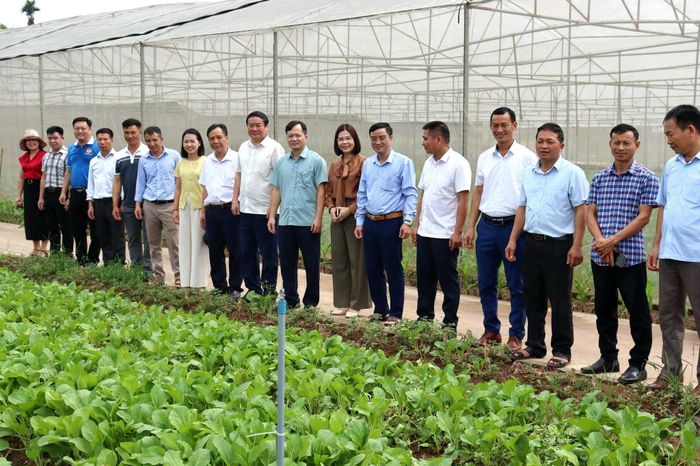 Các hội viên nông dân xã Bát Tràng tham quan, học tập mô hình trồng rau an toàn, VietGAP trên địa bàn. Ảnh: HND