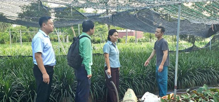 Tháng 9-2026, Hội Nông dân xã Bát Tràng và đại diện Quỹ Hỗ trợ nông dân thành phố Hà Nội thẩm định hồ sơ và đi kiểm tra thực tế một dự án vay vốn. Ảnh: HND