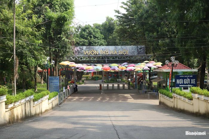 Trước áp lực đô thị hóa và nhu cầu ngày càng cao về không gian công cộng, việc tổ chức lại công viên đang được đặt ra. UBND phường Giảng Võ hiện niêm yết công khai, lấy ý kiến các cơ quan, tổ chức và cộng đồng dân cư về đồ án điều chỉnh tổng thể quy hoạch chi tiết Công viên Thủ Lệ, tỷ lệ 1/500 tại trụ sở UBND phường và công khai trên cổng thông tin điện tử của UBND phường Giảng Võ.