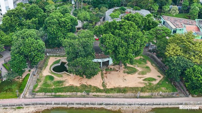 Bên cạnh giá trị cảnh quan, Công viên Thủ Lệ còn gắn với hoạt động nuôi dưỡng, chăm sóc và trưng bày động vật.