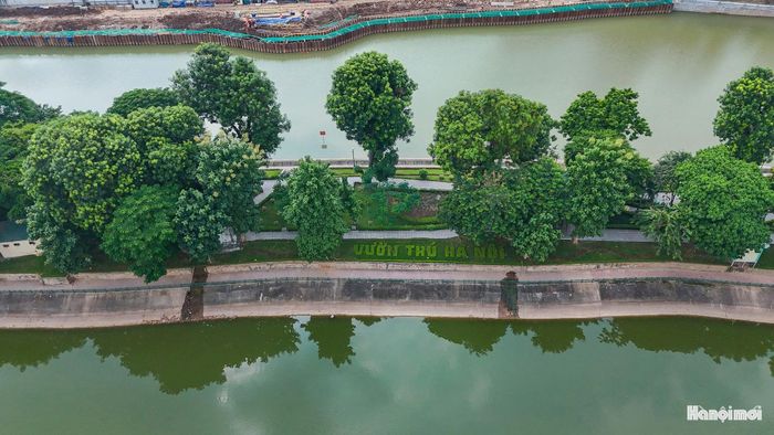 Những con đường dạo bộ dưới bóng cây, các khoảng xanh ven hồ là nơi người dân tìm đến để thư giãn, tập thể dục và tận hưởng không khí trong lành.