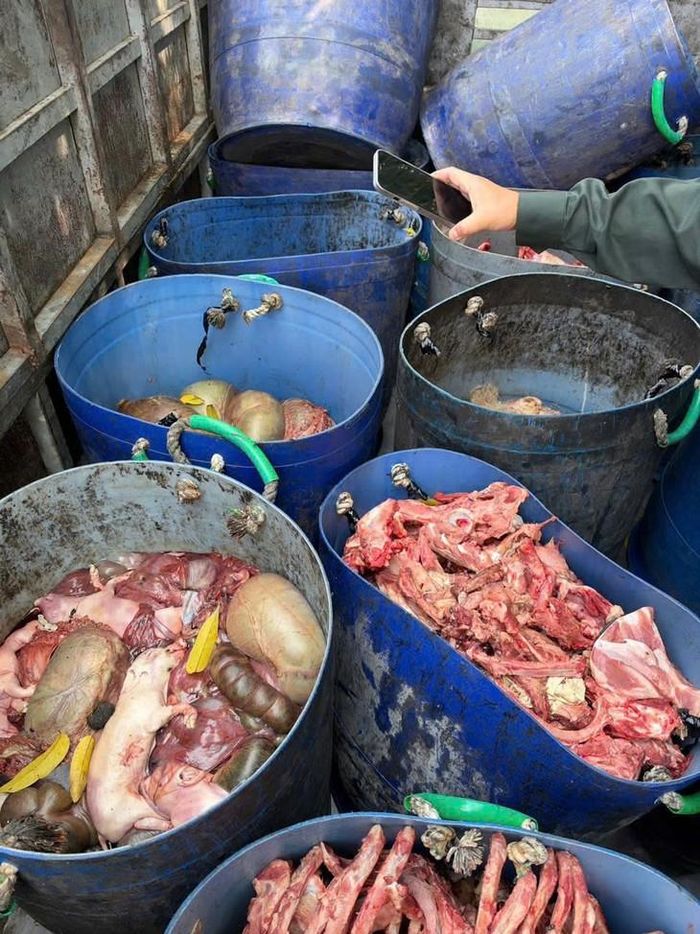 Hơn 2 tạ nội tạng, xương động vật không rõ nguồn gốc. Ảnh: Công an tỉnh Phú Thọ