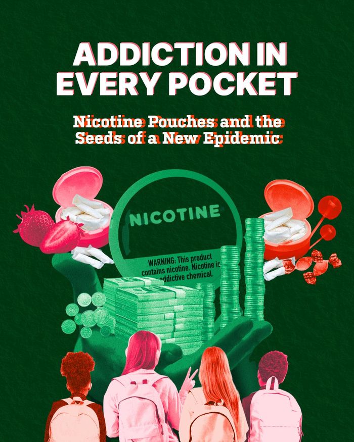 Chuyên gia WHO cảnh báo về nguy cơ sức khỏe từ túi nicotine – sản phẩm chứa bột nicotine, hương liệu và các thành phần khác. Ảnh: HL
