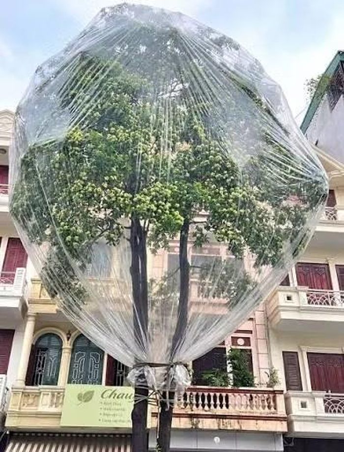 Thêm một sản phẩm được tạo bởi AI.
