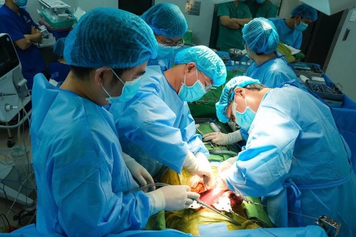 Hiến gan từ người sống có thể thực hiện nhờ khả năng tái tạo đáng kể của gan; phần gan còn lại ở người hiến và phần gan ghép có thể tiếp tục phát triển sau phẫu thuật. Ảnh: Bệnh viện Thống Nhất.